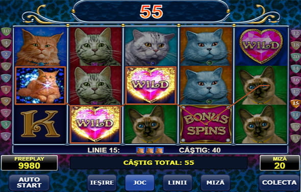 Slot online Diamond Cats de la Amanet soft