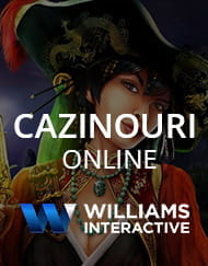 Funrizor de software – Williams Interactive