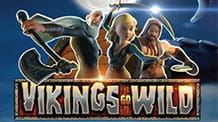 Slot Viking Go Wild de la Yggdrasil