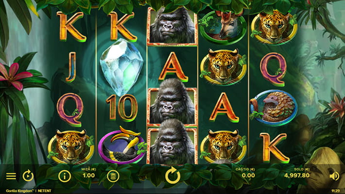 Gorilla Kingdom joc de păcănele online