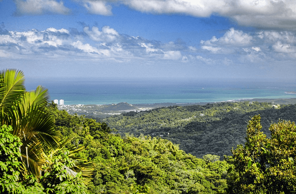 Natura bulversantă din Puerto Rico